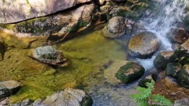 İskandinav doğasında şelaleleri olan geçilemez geçitler. Kütükleme burada imkansız, makineleşme buraya gelmeyecek. Su damlacıklarının aktığı gövdeden bir oluk.