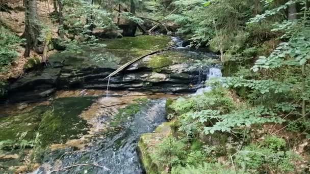 Ondoordringbare Kloven Met Watervallen Noordse Wildernis Houtkap Hier Onmogelijk Mechanisatie — Stockvideo