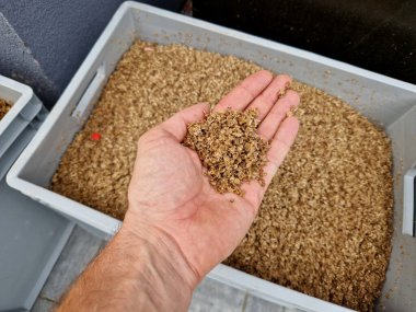 Sandıktaki bira demleme maltları zaten küçük bir bira fabrikasında üretimde kullanılıyor. Bira üreticisinin elindeki arpa kokusu. Oğul fabrikada çalışmayı sevmeyi öğrenir..