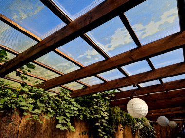 Ahşap pergola ve pleksiglass çatılı teras. Sarmaşıklar geriliyor, kirişlerin altında sürünüyorlar. Bahçe ya da park. Alkolsüz duvar şarabı bölgesinde oturuyor. Kırsal restoran Fransa, kiriş, küre, lamba