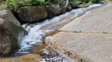 İskandinav doğasında şelaleleri olan geçilemez geçitler. Kütükleme burada imkansız, makineleşme buraya gelmeyecek. Su damlacıklarının aktığı gövdeden bir oluk.