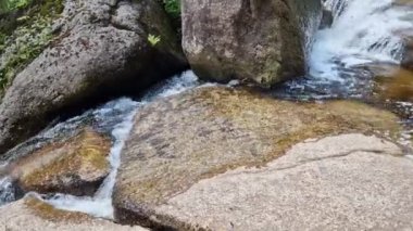 İskandinav doğasında şelaleleri olan geçilemez geçitler. Kütükleme burada imkansız, makineleşme buraya gelmeyecek. Su damlacıklarının aktığı gövdeden bir oluk.