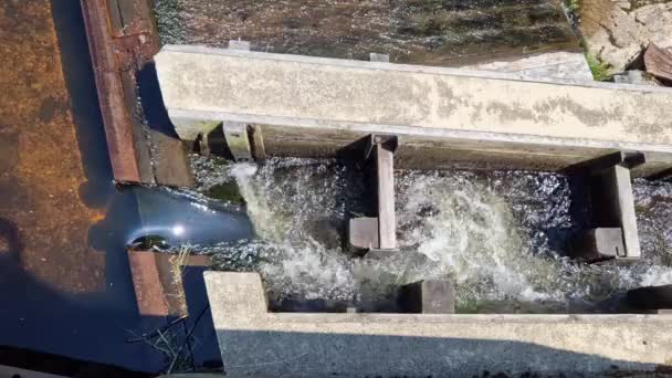 Turbid Water Flood Falls Large Dams Forms Lot Foam Fish — Stock Video