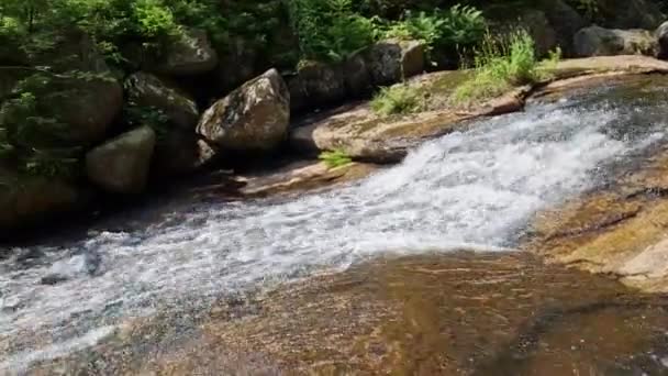 Undurchdringliche Schluchten Mit Wasserfällen Der Nordischen Wildnis Holzeinschlag Ist Hier — Stockvideo