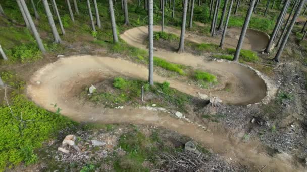 Las Którym Znajduje Się Ścieżka Rowerowa Przechylone Zakręty Jeden Drugim — Wideo stockowe
