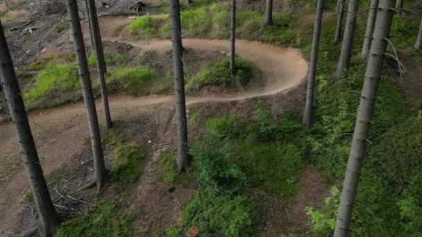 Hutan Mana Ada Jalur Untuk Sepeda Jejak Miring Tikungan Satu — Stok Video