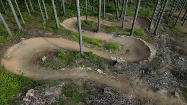 Las Którym Znajduje Się Ścieżka Rowerowa Przechylone Zakręty Jeden Drugim — Wideo stockowe