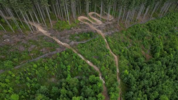 Ліс Якому Доріжка Велосипедів Траса Нахилена Плиткою Вигинається Один Одним — стокове відео