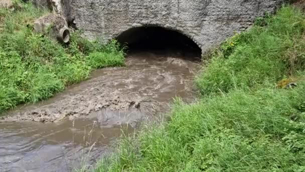 Agua Fangosa Mueve Rápidamente Través Del Lecho Del Río Tenso — Vídeo de stock