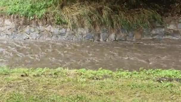 Çamurlu Gergin Nehir Yatağında Hızla Ilerler Boğulmak Kolaydır Düşenler Köprünün — Stok video