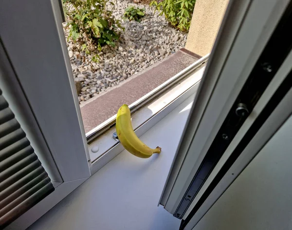 a man holds a banana in his hand and crushes it in a closed window sadistically and needlessly. he aims it through the window blinds at the street like a gun in a crime movie. hanging there on window