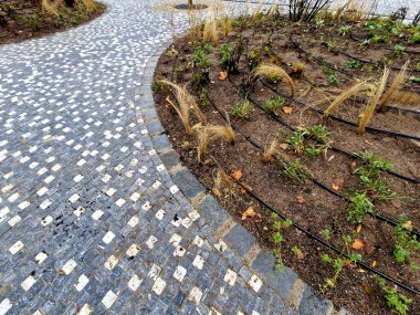 Damlama başlıklı bir dizi hortum. Damlayan su uzun ömürlü canlıların köklerine ulaşır ve daha iyi kullanılır ve çatı bahçesinin alt katmanından çabucak buharlaşmaz, iğne, iğne, plastik, beden eğitimi.