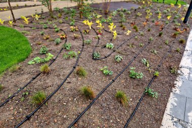 Damlama başlıklı bir dizi hortum. Damlayan su uzun ömürlü canlıların köklerine ulaşır ve daha iyi kullanılır ve çatı bahçesinin alt katmanından çabucak buharlaşmaz, iğne, iğne, plastik, beden eğitimi.