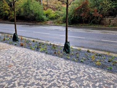 Ağaçların etrafındaki sulamalı plastik torbalar suyu tasarruflu ve düzenli olarak mükemmel çimenlikte su dozu sağlıyor, kenarları tel budayıcı ile kesme bakımı yapılıyor.