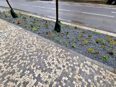 Ağaçların etrafındaki sulamalı plastik torbalar suyu tasarruflu ve düzenli olarak mükemmel çimenlikte su dozu sağlıyor, kenarları tel budayıcı ile kesme bakımı yapılıyor.