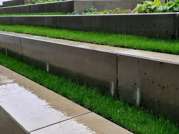 Islak beton merdiven yeni ve pürüzsüz. Öğrenciler ve parktaki insanlar için merdivenlerde oturmak. Çimenlik bankları ve yataklar ve yapısal elementlerle birlikte uzun ömürlüdür.