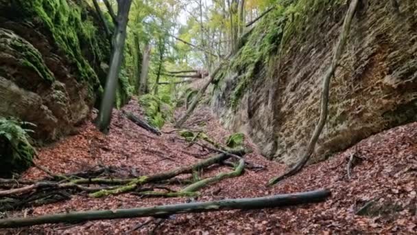 Rotsachtige Kloven Herfst Het Mogelijk Dwalen Bewonderen Verschrompelde Mossen Gebroken — Stockvideo
