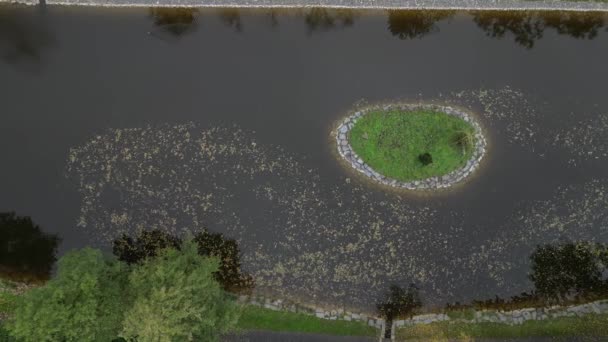 Ilha Oval Circular Alinhado Com Pedras Costa Lagoa Para Nidificação — Vídeo de Stock