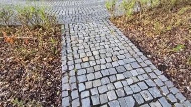 Göle akan akarsu, çocuklar için bir yüzme havuzu görevi gören kaldırımlı küçük bir gölette yavaşlar. Suyun taşması balıkları oksijenlendirir. Park manzarası, resmi bahçe.