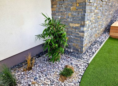 Çimenlere ait monopodik bambular. İğrenç yerlerin hızlı gölgelendirmesini sağlayın ya da mahremiyeti sağlayın. Dairelerde, teraslarda veya konservatuarlarda cep telefonlarına yerleştirilmiş.