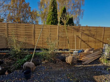 Yolun kenarındaki sokakta ağaçlar. Bir sırada ağaçlar bir deliğe dikilir. İşçi eldivenli, bagajı aşırı ısınmaya ve bahar güneşinin kabuğunu çatlatmaya karşı boyuyor. Konteynır, yeşil, uzanmış.