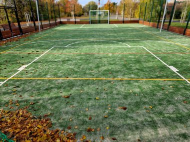 Okul bahçesinde çok fonksiyonlu oyun alanı. Plastik halıdan yapılmış yeşil yapay çimenler. Basketbol potaları ve futbol golleri. Yüksek ağ ve korkulukların orada. Yaprak temizleme, bank