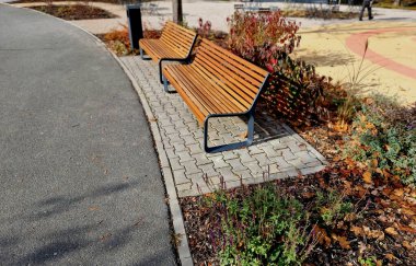Sonbahar çiçekleri, uzun ömürlü otlar ve siyah taş kaldırımlı bir meydanda, granit kaldırımlar, sonbahar mor beyaz ve sarı astıcılar ve şehir parkında, terasta adaçayı ile süslü otlar.