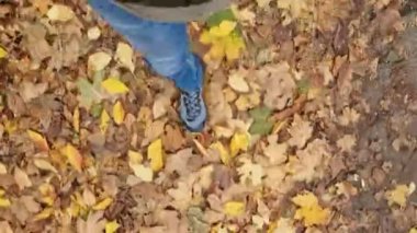 Bir adam parkta yaprakların üzerinde yürür. Kot pantolon ve spor ayakkabı giymiş bacaklar. Sonbaharda yürüyüş. Hışırdayan kuru yapraklar içinde kendi çizmelerinle bitir.