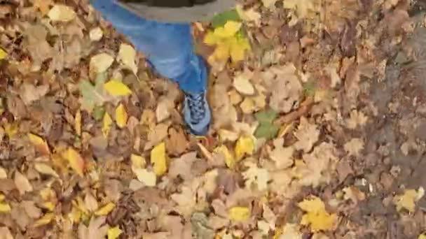 남자는 공원에서 청바지와 스포츠 신발에 가을에 녹슬지 건조한 자신의 부츠에 — 비디오