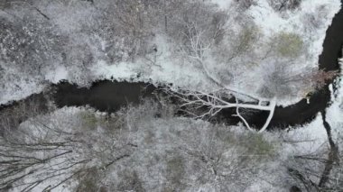 Küçük bir akarsu ile dallı bir söğüt ağacının devrildiği daha büyük bir nehrin kesişmesi. Karlar eridiğinde, sel sırasında kanalı tıkama riski var. Karla kaplı yol obstac