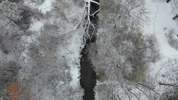 一条小河和一条大河的汇合处 一条枝干茂密的柳树落在河的对岸 在雪融的时候 有堵塞航道的危险 白雪覆盖的道路拥挤 — 图库视频影像