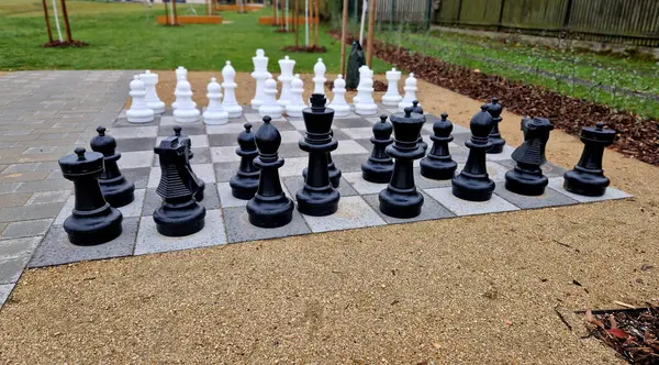 a chess game of two different political camps. the political contest resembles the deliberate moves of pieces on the game board. the winner is the one who checkmate the other