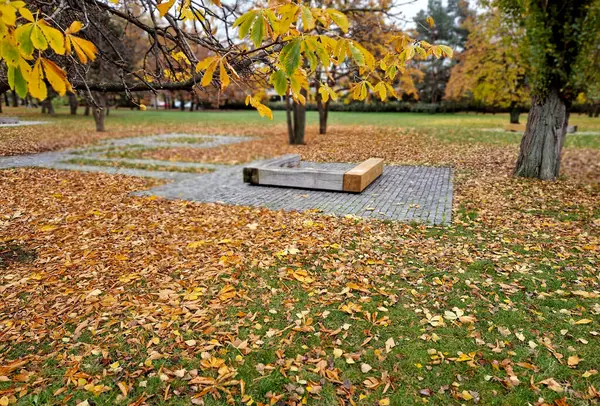 one piece of wood made prism park bench painted brown footsteps concrete rectangles gray in the lawn, pavement, autumn