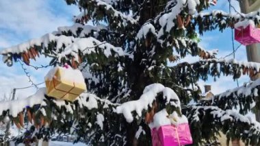 Büyük kar tabakalarıyla kaplı ladin ağacına parlak renklerde renkli hediye kutuları asılır. Kasaba meydanında Noel süsleri. ucuz ve etkili dekorasyon çözümü