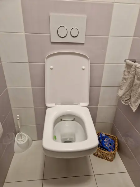 white mirror with a decorative tile facet that resembles a rectangular picture frame. purple tiles in the bathroom and toilet. flusher chained to the wall. shower