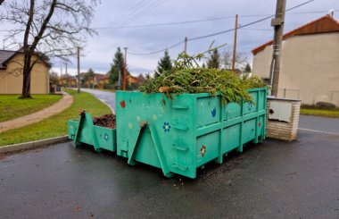 tin container for storing biowaste from a gardening company branches of leaves and cut grass open iron painted green strongly stinks, flower, bird paint, lock, locked, ladder