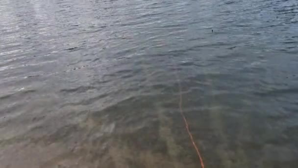 Ciekawego Wyciągniesz Dziś Tajemniczych Wód Rzeki Stawu Jeziora Strumienia Przygotuj — Wideo stockowe
