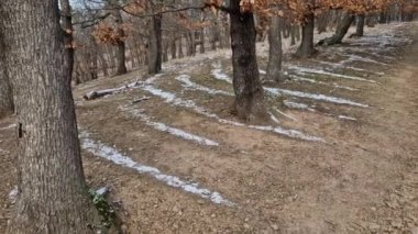 Eşit olmayan donmuş zemin, yıllar önce saban sürdüğümüz ormanda kar çizgileri oluşturacak. Yerden gelen ısının iletimi, yoğunluk ve yapıdaki değişimden dolayı aynı değildir.