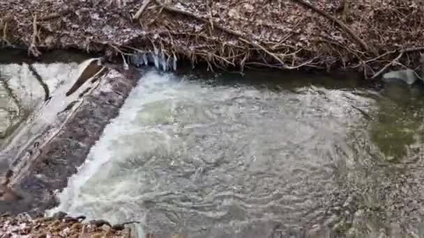 Затопленный Поток Привел Узкому Руслу Реки Вода Быстро Стекает Изгибы — стоковое видео