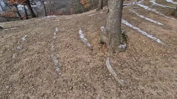 Solo Congelado Forma Desigual Formará Raias Neve Solo Floresta Onde — Vídeo de Stock