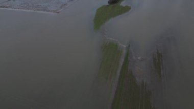 Sazlıklarla kaplı bankalarla kaplı ovanın manzarası. Kışın geniş çayır, uzun ağaçlarda yuva yapan kuşlar için bir sığınaktır. Kurtarma, boğulma.