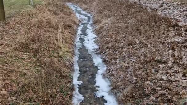 Άνισα Παγωμένο Έδαφος Σχηματίσει Ίχνη Χιονιού Στο Έδαφος Στο Δάσος — Αρχείο Βίντεο