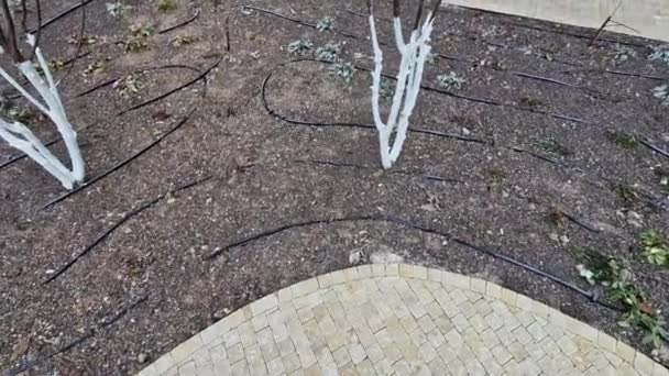 Trittsteine Führen Einem Kleinen Runden Rasen Inmitten Eines Blumenbeetes Sitzt — Stockvideo