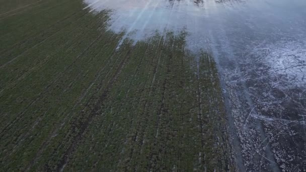 Das Überflutete Feld Ist Eine Sehr Schöne Eisbahn Abgesehen Von — Stockvideo