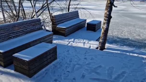 Drewniane Siedzenia Ławkami Wyłożone Naturalnym Drewnem Lesie Nad Wodą Taras — Wideo stockowe