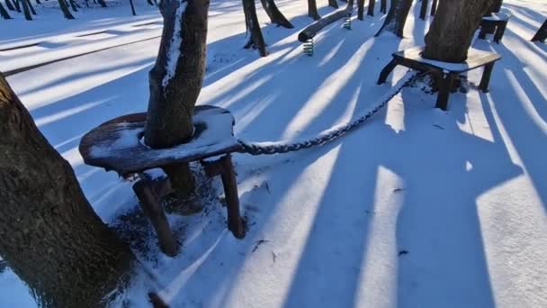 Ormanda Kenarında Doğal Odunlarla Sıralanmış Ahşap Koltuklar Güverte Terası Göletin — Stok video