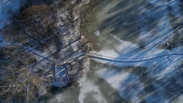 木製のプランクで作られた浮遊歩道 湖水の上の底に運ばれたステークの狭い湾曲した道 雨が降ってない 自然保護区域の水を渡る設計 — ストック動画