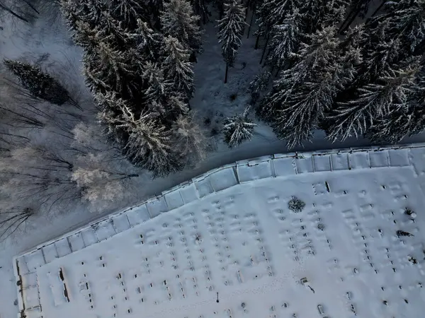 drone view of forest cemetery. view from above. burial capacity in city. stonework and production of granite tombstones. advertisements. urban eternal life wallpaper. forest cemetery , walled