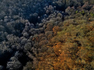 Gökyüzünde sadece mahzenlerin görülebildiği şatonun yıkıntıları üzerinde uçmak. Gündoğumunda kış manzarası. Vadinin yarısı beyaz buzullarla kaplıydı ve ikinci güneş ormanın meşesini çoktan ısıtmıştı.