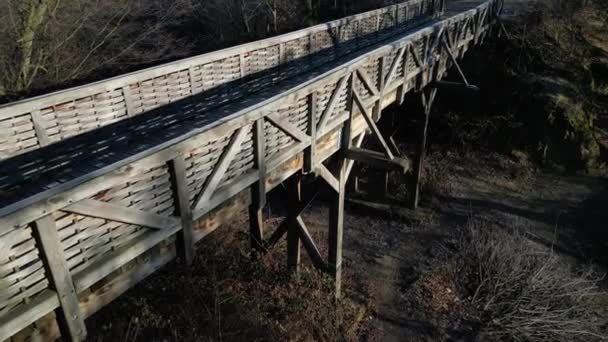 Madera Roble Medieval Atornillada Puente Sobre Foso Construido Según Diseño — Vídeos de Stock